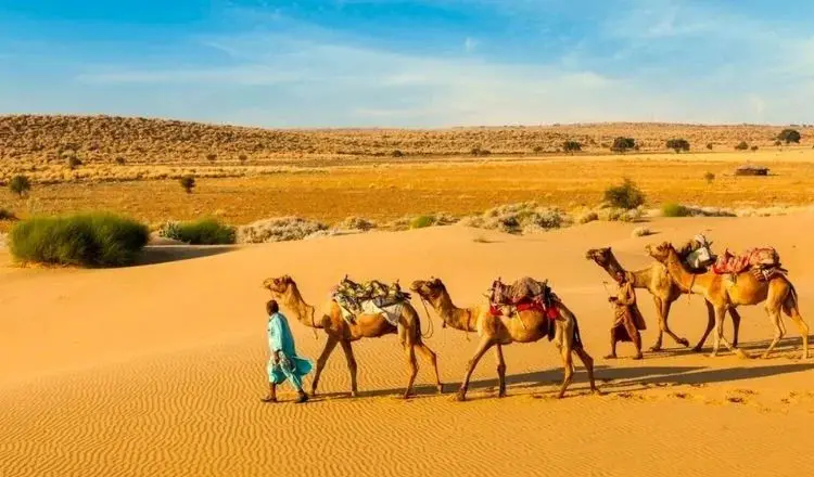 Discover Ladakh Tour