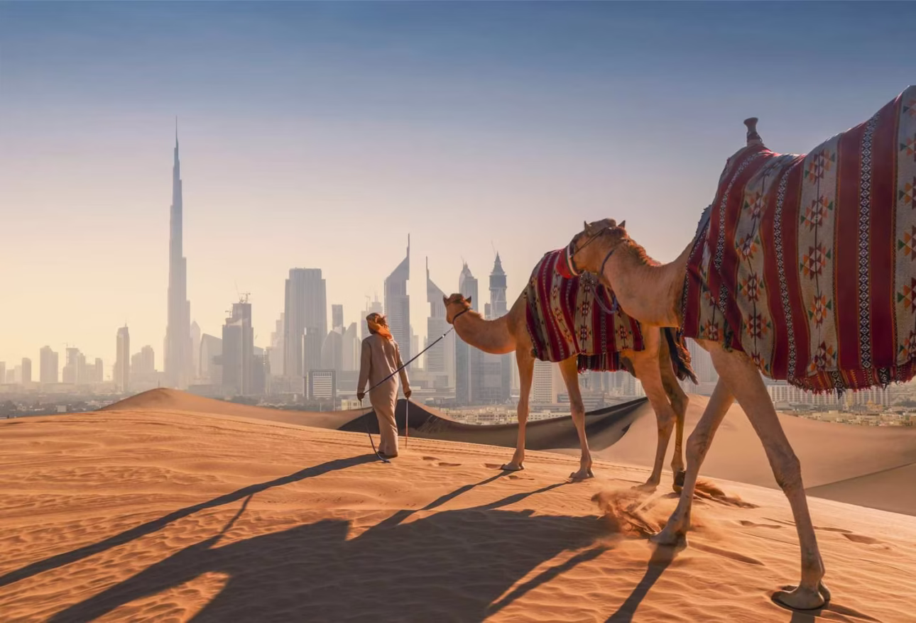Best Rajasthan tours for Americans