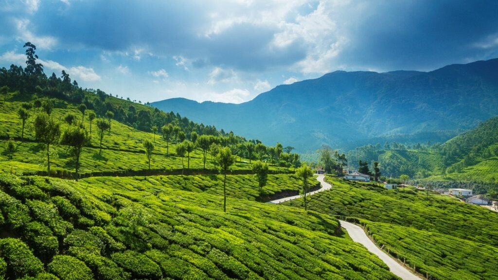 Best Kerala Tour Packages from USA