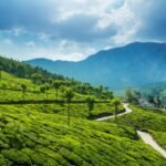 Best Kerala Tour Packages from USA