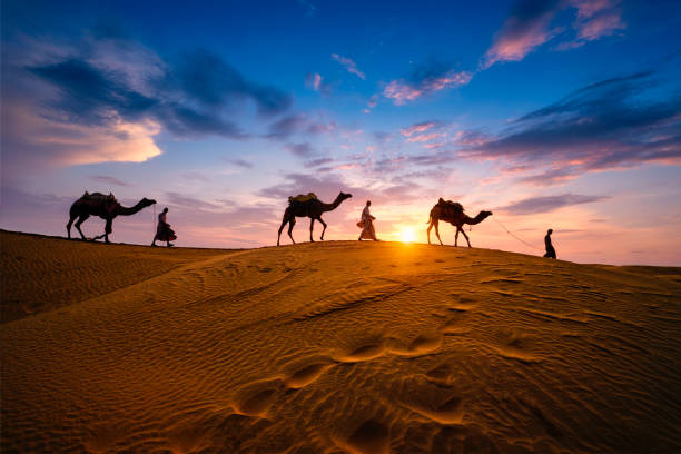Best Rajasthan tours for Americans
