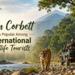 Why Jim Corbett Is Popular Among International Wildlife Tourists