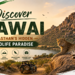 Discover Jawai: Rajasthan’s Hidden Wildlife Paradise